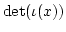 $ \det(\iota(x))$