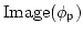 $ \operatorname{Image}(\phi_{\mathfrak{p}})$