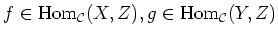 $ f\in \operatorname{Hom}_{\mathcal{C}}(X,Z), g\in \operatorname{Hom}_{\mathcal{C}}(Y,Z)$