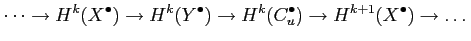$\displaystyle \dots \to H^k (X^\bullet)\to H^k (Y^\bullet) \to H^k(C_u^\bullet)
\to H^{k+1}(X^\bullet)\to \dots
$