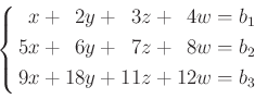 \begin{equation*}
\left \{
\begin{aligned}
&\phantom{1} x + \phantom{0}2 y + \p...
... w =b_2 \\
&9 x + 18 y +11 z +12 w = b_3
\end{aligned}\right.
\end{equation*}