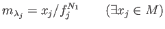 % latex2html id marker 2051
$\displaystyle m_{\lambda_j} = x_j /f_j^{N_1} \qquad (\exists x_j \in M)
$