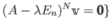 $\displaystyle (A-\lambda E_n) ^N \mathbbm v={\pmb 0} \}
$