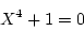 \begin{displaymath}X^4+1=0
\end{displaymath}